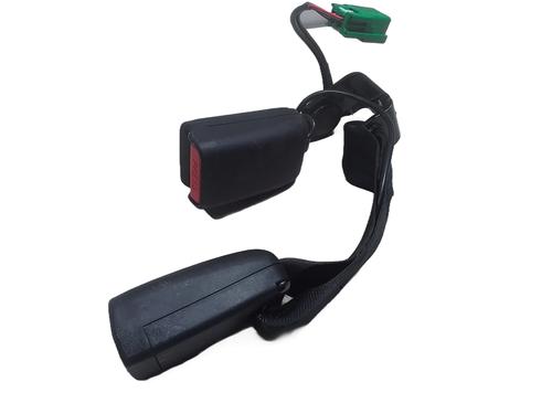 Engache cinturón TESLA MODEL 3 (5YJ3) EV AWD (498 hp) 31869380