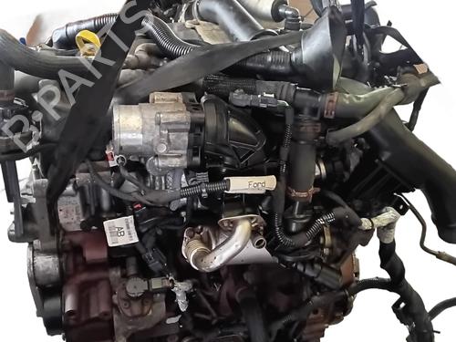 Engine FORD TRANSIT CUSTOM V362 Van (FY, FZ) 2.2 TDCi | BP33166502M1  - Image 8