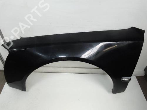 Left front fenders AUDI A8 D3 (4E2, 4E8)  | BP24170214C41 