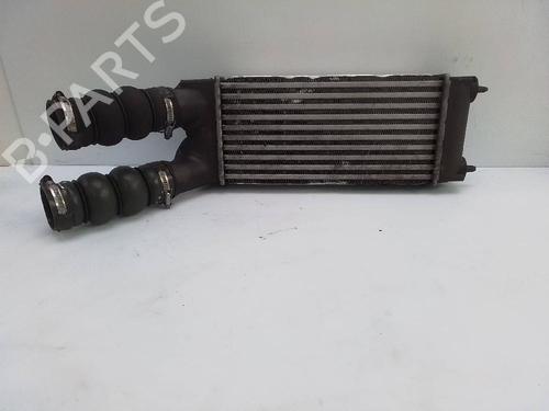 Intercooler PEUGEOT PARTNER Tepee 1.6 HDi 16V | BP21527060M30 
