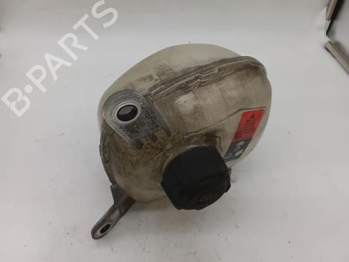 Expansion tank RENAULT AUSTRAL TCe 130 (HGM2) | BP29824463C120