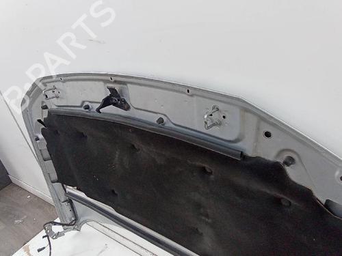 Hood LAND ROVER FREELANDER 2 (L359) 2.2 TD4 4x4 | BP20156392C1 