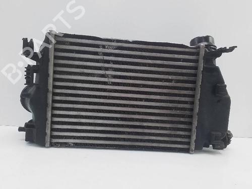 Intercooler RENAULT KADJAR (HA_, HL_) | BP22631358M30 - Image 3