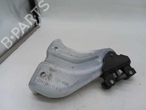 Hinge/Door check strap RENAULT EXPRESS Box Body/MPV 1.5 Blue dCi 75 (F6AA) | BP29385732C146 