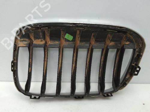 Grille BMW X1 (F48) sDrive 18 d | BP22332907C40 