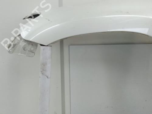 Left front fenders TOYOTA RAV 4 III (_A3_) 2.2 D (ALA35_) | BP29995159C41