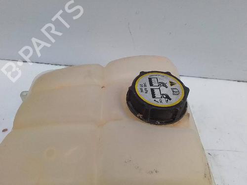 Expansion tank FORD FOCUS III  | BP24483936C120 