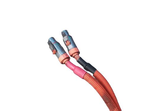 Cable DACIA SPRING Extreme | BP29995631E12 