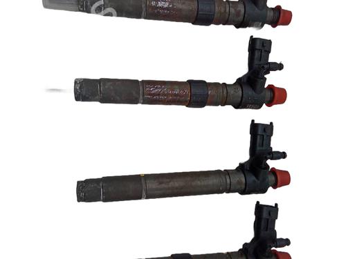 Injector LAND ROVER RANGE ROVER EVOQUE (L538) 2.2 D | BP26053035M100