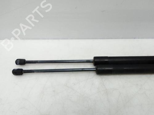 Tailgate lift support FORD TOURNEO COURIER B460 MPV 1.0 EcoBoost | BP21526707C138 