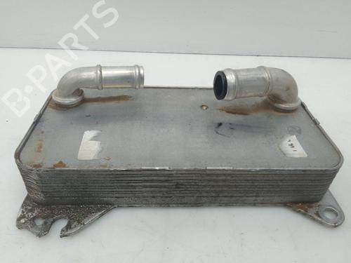 Oliekøler VW GOLF VIII (CD1, DA1) 2.0 GTI | BP28150641M33 
