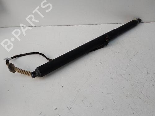 Used Tailgate lift support AUDI Q3 (8UB, 8UG) 2.0 TDI (150 hp) 19519695