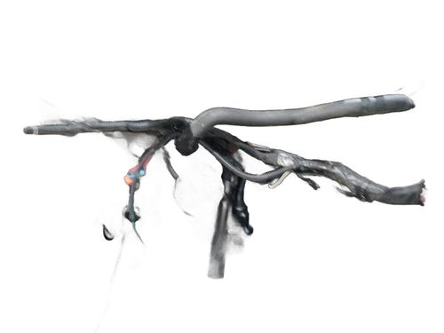 Engine DACIA SANDERO 1.5 dCi | BP26160431M1 