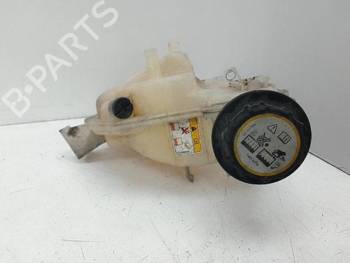 Expansion tank LAND ROVER RANGE ROVER SPORT I (L320) 3.0 D 4x4 | BP19643259C120 