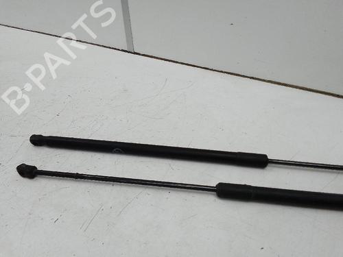 Tailgate lift support FORD C-MAX II (DXA/CB7, DXA/CEU) 1.0 EcoBoost | BP19938449C138 