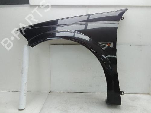 Left front fenders RENAULT MEGANE II Coupé-Cabriolet (EM0/1_) 1.9 dCi | BP26651692C41 