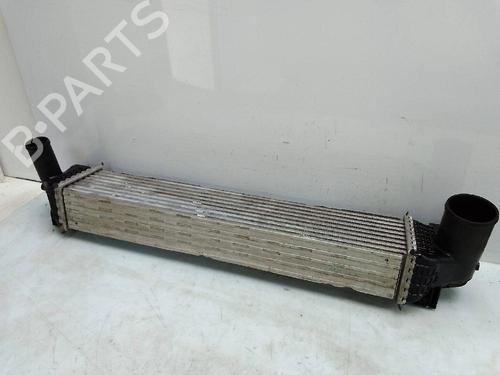 Intercooler MG MG HS (AS23) 1.5 T (SAS23) | BP25045693M30 