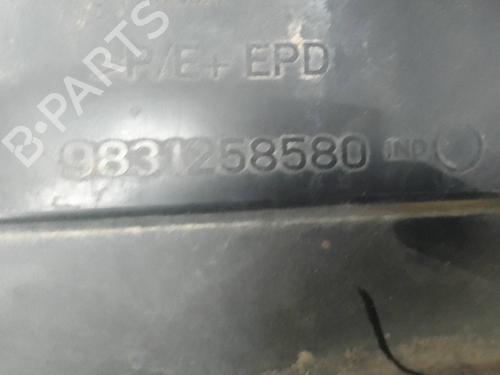 Used Wheel arch CITROËN C4 III (BA_, BB_, BC_) 1.2 PureTech 100 (BAHNEA, BAHNKA) (101 hp) 20302356