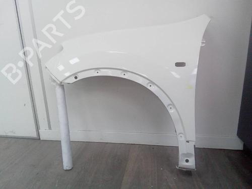 Left front fenders NISSAN QASHQAI / QASHQAI +2 I (J10, NJ10, JJ10E)  | BP20505234C41 