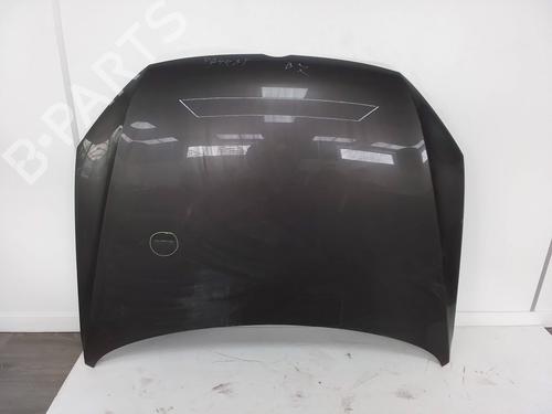 Capot VW PASSAT B7 (362) 1.6 TDI (105 hp) 26159203