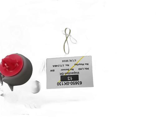 Interior roof light TOYOTA HILUX VIII Pickup (_N1_) 2.4 D 4WD (GUN125_, GUN125R) | BP30317751I8