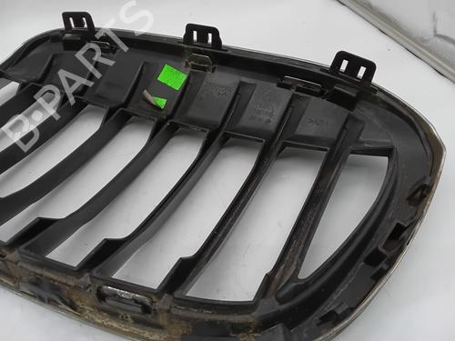 Grille BMW X1 (F48) sDrive 18 d | BP29764979C40 