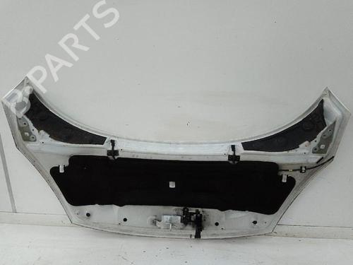 Hood RENAULT SCÉNIC III (JZ0/1_) 1.2 TCe | BP26593688C1