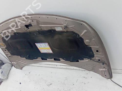 Hood FIAT TIPO Saloon (356_, 357_) 1.3 D (356SXB1A, 356SXH1A, 356SXD1A) | BP20165469C1 