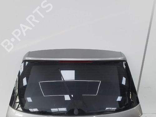 Bakluke CC/Kombi-Kupé VW TIGUAN (AD1, AX1) 2.0 TDI | BP26050876C6 