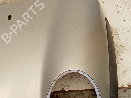 Hood MINI MINI (R50, R53) Cooper | BP19681533C1 