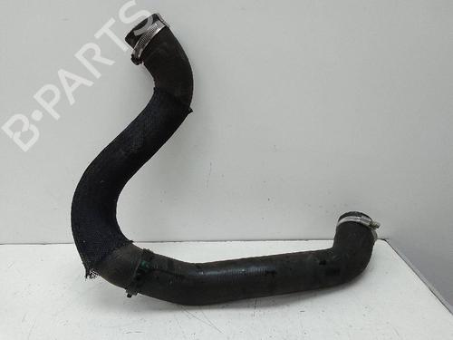 Pipe PEUGEOT RIFTER 1.5 BlueHDi 130 | BP20143667M125 