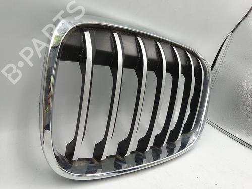 Grille BMW X1 (F48) sDrive 18 d | BP29764985C40 
