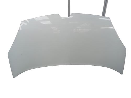 Used Hood Hood RENAULT KANGOO Express (FW0/1_) 1.5 dCi 75 (FW07, FW10, FW04) (75 hp) 36219090 36219090