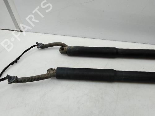 Tailgate lift support BMW 3 Touring (F31)  | BP21783379C138 