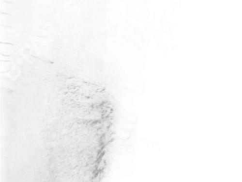 Step BMW 3 (F30, F80) 320 d xDrive | BP30963775C149 