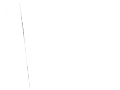 Rear right wheel arch trim DACIA SPRING Extreme | BP29995593C137 