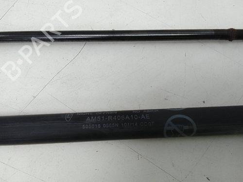Tailgate lift support FORD C-MAX II (DXA/CB7, DXA/CEU) 1.0 EcoBoost | BP19938449C138 