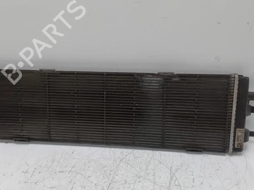 Water radiator RENAULT AUSTRAL TCe 130 (HGM2) | BP29824434M31