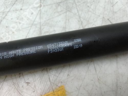 Hood lift support DACIA SANDERO II TCe 90 (B8M1, B8MA, B8AC) | BP18738524C139 