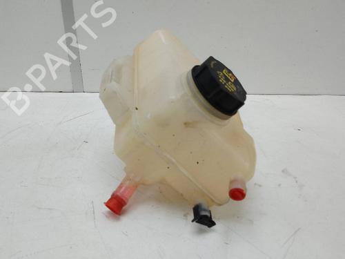 Used Expansion tank FORD TOURNEO COURIER B460 MPV 1.0 EcoBoost (100 hp) 20132750