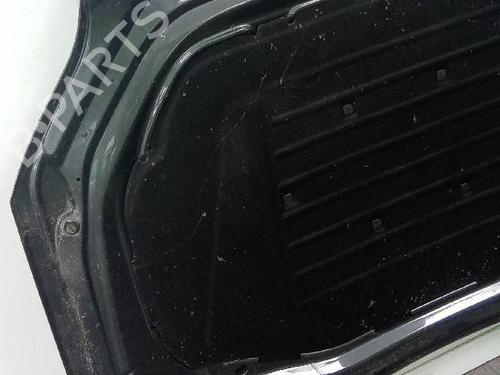 Hood AUDI Q7 (4LB) 6.0 TDI quattro | BP18915232C1