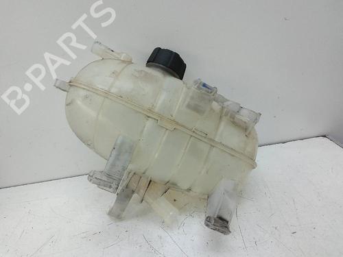 Expansion tank RENAULT TRAFIC III Van (FG_) 1.6 dCi 90 (FGME) | BP20115458C120 