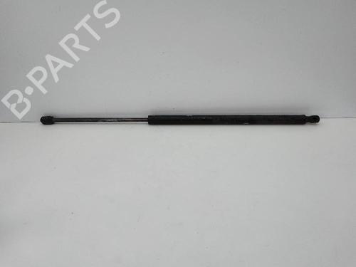 Tailgate lift support LAND ROVER RANGE ROVER SPORT I (L320) 3.0 D 4x4 | BP22686690C138 
