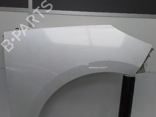 Used Right front fenders RENAULT SCÉNIC III (JZ0/1_) 1.2 TCe (116 hp) 26593650