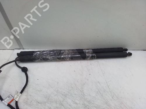Tailgate lift support ALFA ROMEO STELVIO (949_) 2.2 D Q4 (949.AXB2A) | BP18595188C138 