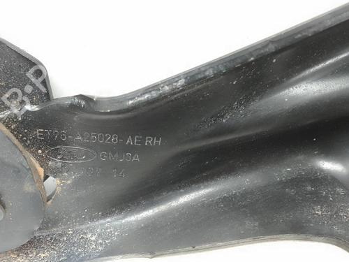 Used Hinge/Door check strap FORD TOURNEO COURIER B460 MPV 1.6 TDCi (95 hp) 19788293
