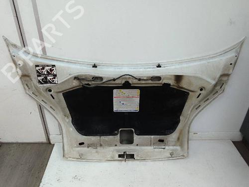Used Hood FIAT QUBO (225_) 1.3 D Multijet (225AXE1A, 225CXE1A, 225AXH1A, 225AXL1A,... (95 hp) 24628536