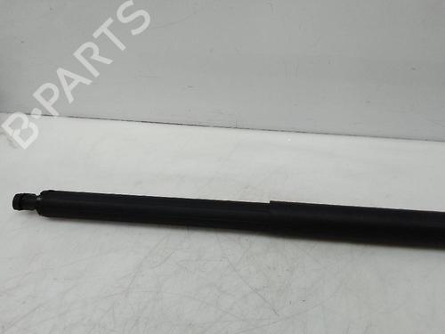 Tailgate lift support BMW X1 (F48) xDrive 25 e Plug-in-Hybrid | BP23851045C138 