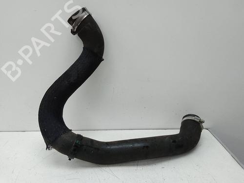 Used Pipe Pipe PEUGEOT RIFTER 1.5 BlueHDi 130 (130 hp) 20143667 20143667