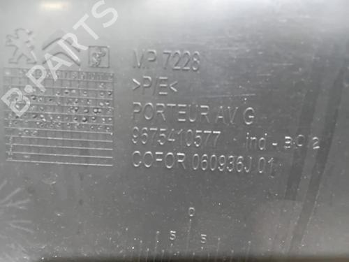 Front left panel CITROËN C-ELYSEE (DD_) 1.6 BlueHDi 100 | BP38795975C58  - Image 9